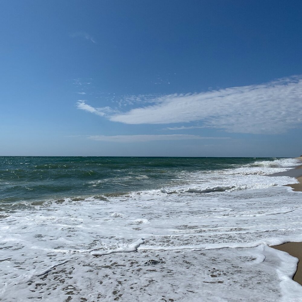 Meet your Posher, Mitchell